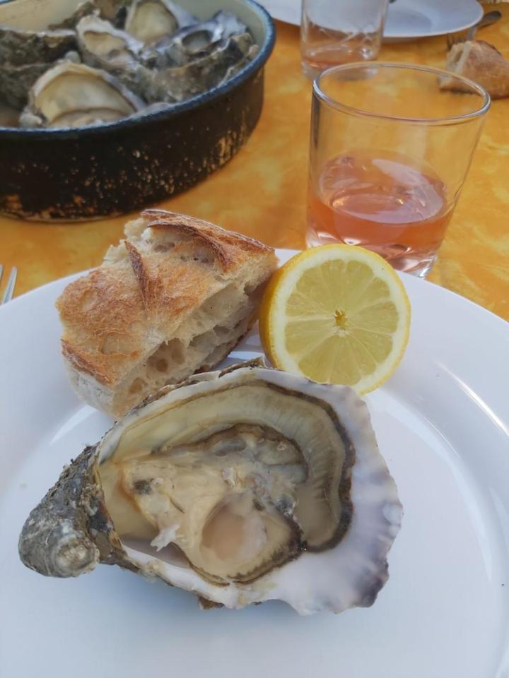 Chateau Neuf Le Desert Le Pizou エクステリア 写真